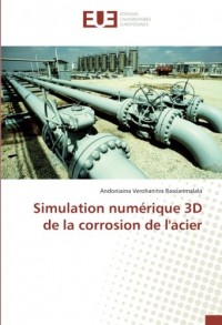 Simulation numérique 3D de la corrosion de l'acier