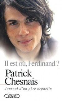 IL EST OU FERDINAND JOURNAL INTIME D'UN PERE ORPHE