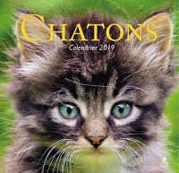 Chatons calendrier 2019