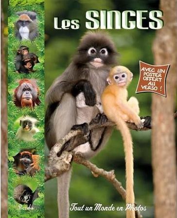 Les singes