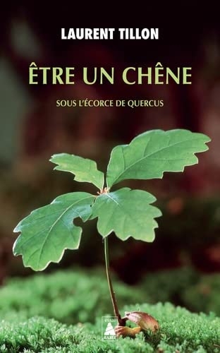 Être un chêne: sous l'écorce de Quercus