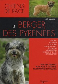 Le berger des Pyrénées