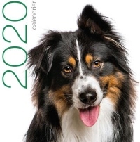 Calendrier mural 2020 - Chiens