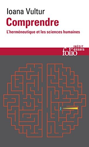 Comprendre: L'herméneutique et les sciences humaines