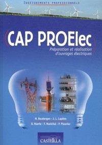 Enseignements professionnels CAP PROElec (Préparation et Réalisation d'ouvrages Electriques)