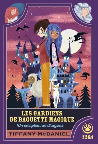 Les Gardiens de baguette magique : un ciel plein de dragons - édition reliée