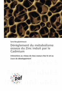 Dérèglement du métabolisme osseux du Zinc induit par le Cadmium: Interactions au niveau du tissu osseux chez le rat au cours du développement