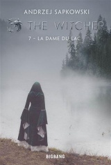 The Witcher (Sorceleur), T7 : La Dame du lac
