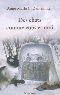 Des chats comme vous et moi