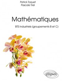 Les Mathématiques en BTS Industriels Groupements B, C, D
