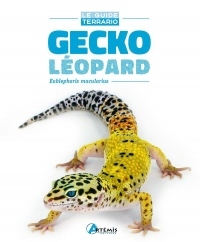 Gecko Leopard