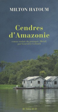 Cendres d'Amazonie