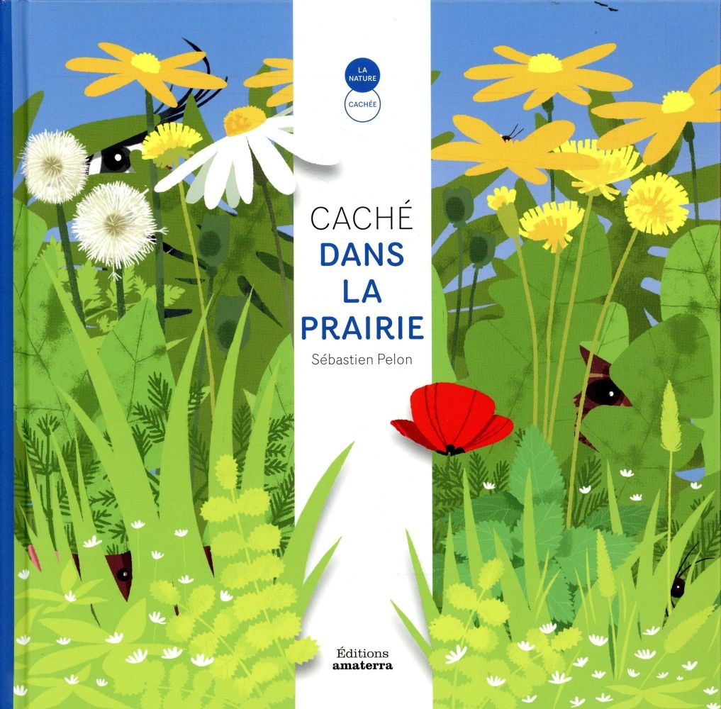 Caché dans la prairie