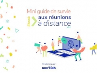 Guide de Survie aux Reunions a Distance