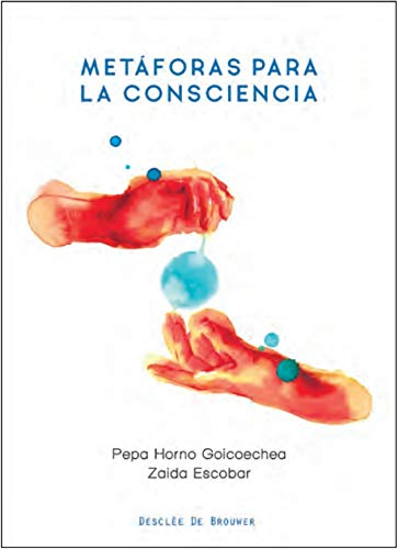 Metáforas para la consciencia