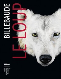 Billebaude - Nº04: Le loup