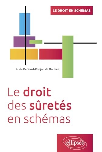 Le droit des sûretés en schémas: A jour au 30 avril 2024
