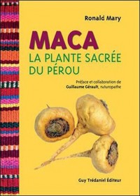 Maca : La plante sacrée du Pérou