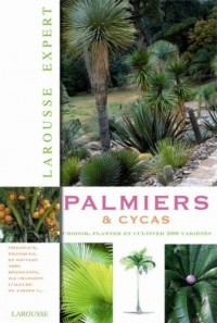 Palmiers et cycas