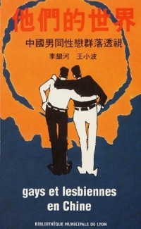 Gays et lesbiennes en Chine : Actes des troisèmes assises internationales de la mémoire gay et lesbienne Bibliothèque municipale de Lyon, 19-20 mars 2004