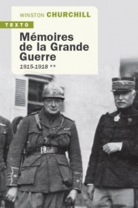 MEMOIRES DE LA GRANDE GUERRE T2: 1915-1918