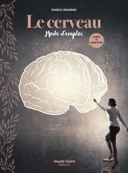 Le cerveau, Mode d'Emploi