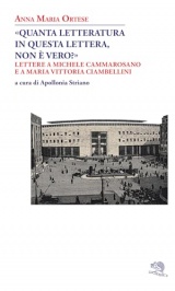 «Quanta letteratura in questa lettera, non è vero?». Lettere a Michele Cammarosano e a Maria Vittoria Ciambellini