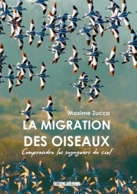 La migration des oiseaux : Comprendre les voyageurs du ciel