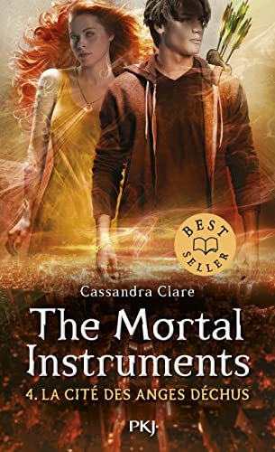 The Mortal instruments - tome 4 : La Cité des Anges Déchus