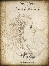 Carnet de croquis Dames de Brocéliande