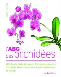 L'ABC des orchidées