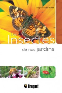 Les insectes de nos jardins