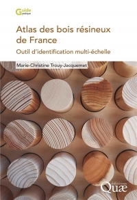 Atlas des bois résineux de France: Outil d'identification multi-échelle