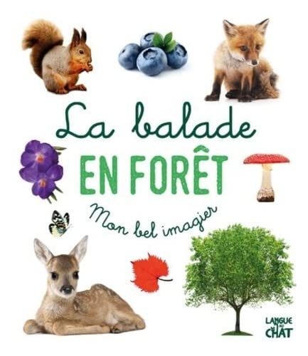 Mon bel imagier photos - La balade en forêt - Livre d'éveil imagier photo - Dès 6 mois