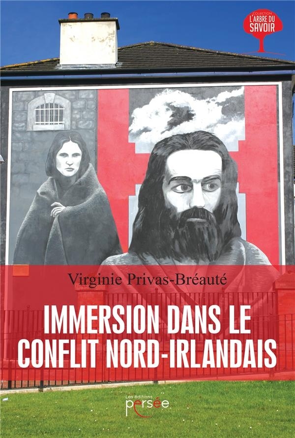 Immersion dans le conflit nord-irlandais