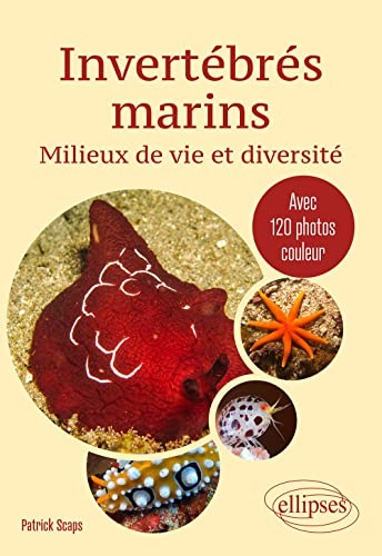 Invertébrés marins. Milieux de vie et diversité: Avec 120 photos couleur