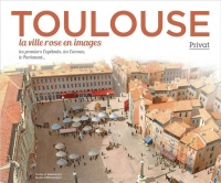 TOULOUSE, la ville rose en images