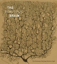 The Beautiful Brain : The Drawings of Santiago Ramon y Cajal