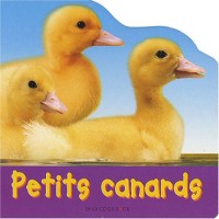 Petits canards