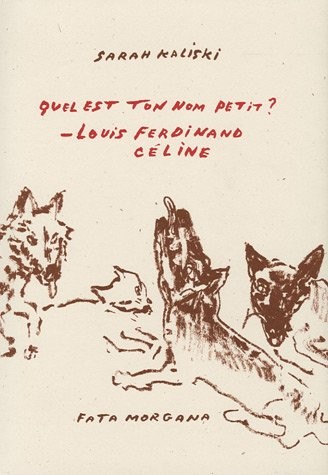 Quel est ton nom petit ? : Louis-Ferdinand Céline