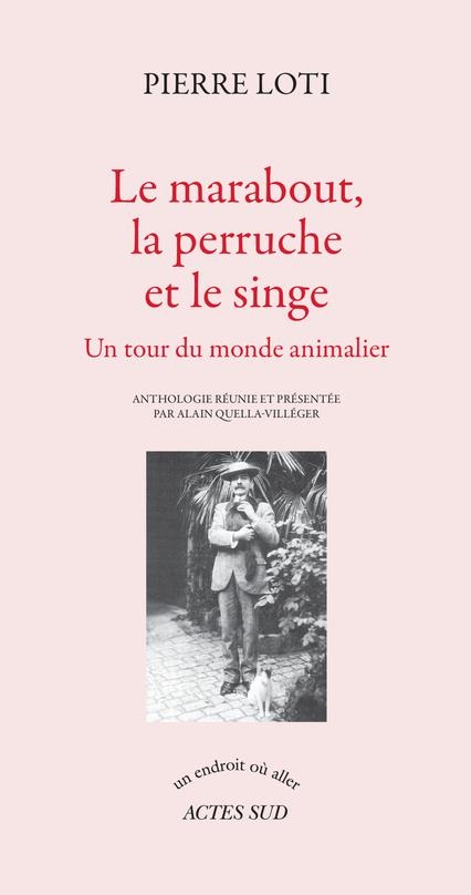 Le marabout, la perruche et le singe: Un tour du monde animalier