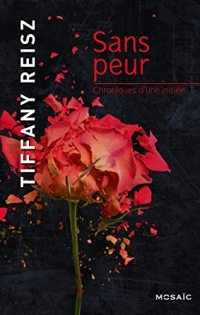 Sans peur : T4 - Chroniques d'une initiée