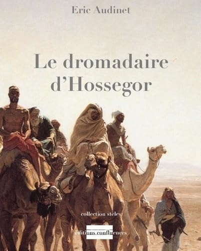 Le dromadaire d'Hossegor