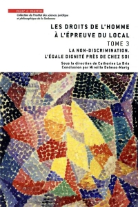 Les droits de l'homme à l'épreuve du local : Tome 3