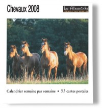 Chevaux 2008