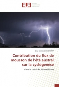 Contribution du flux de mousson de l’été austral sur la cyclogenèse: dans le canal de Mozambique