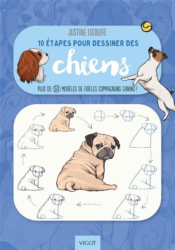 10 ÉTAPES POUR DESSINER LES CHIENS