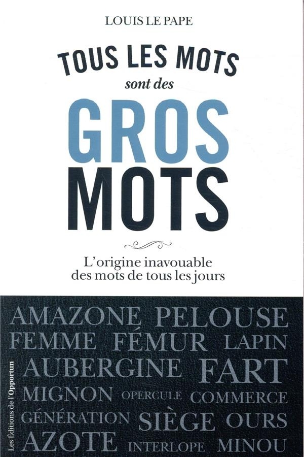 Tous les mots sont des gros mots