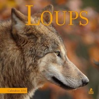 Loups Calendrier 2016