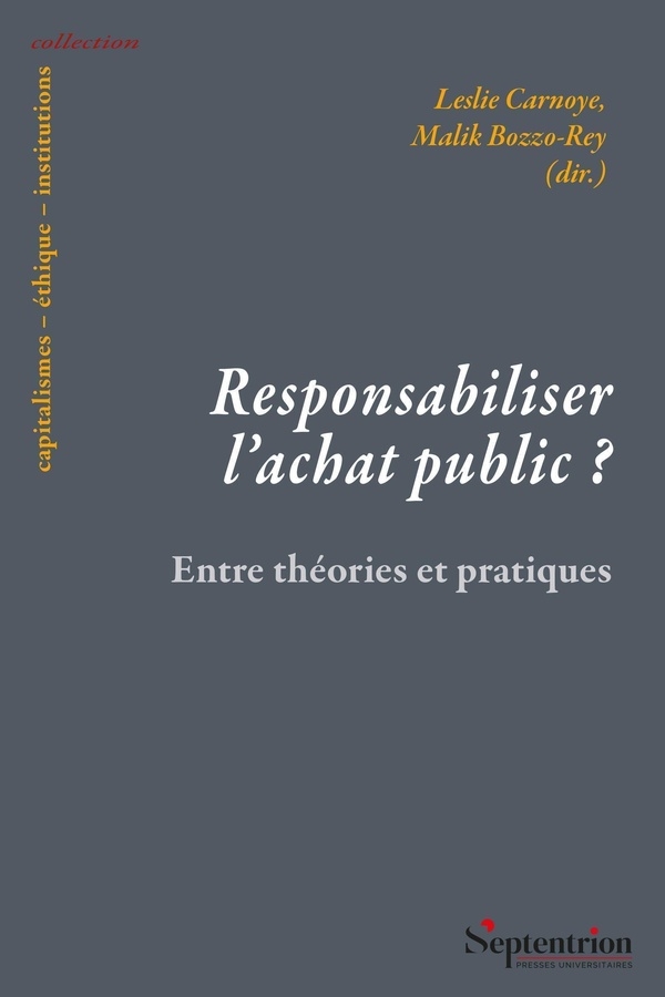 Responsabiliser l'achat public ?: Entre théories et pratiques